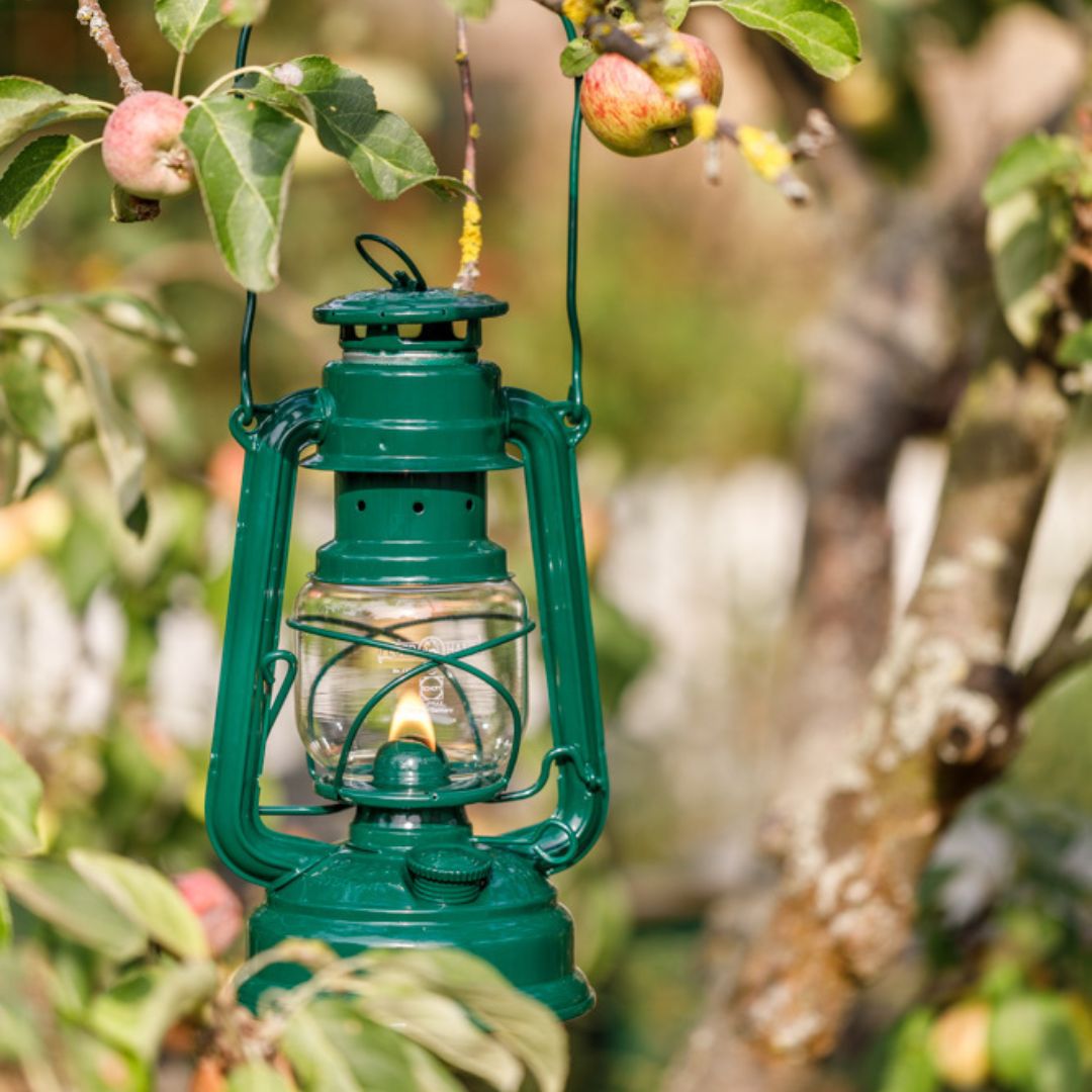 Hurricane Lantern Baby Special 276