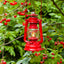 Hurricane Lantern Baby Special 276